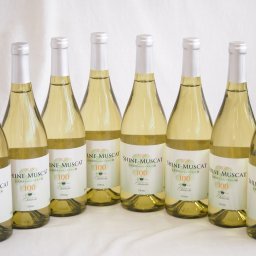 8本セット(シャインマスカット100ワインやや甘口(山梨県)) 750ml×8本