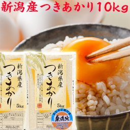 米 10kg 令和8年産【無洗米 10kg】 新潟産 つきあかり 10kg（5kg×2袋）【無洗米 １０キロ】【直送米 新潟つきあかり】  新潟県産 無洗米 [大人気米/無洗米10kg/お米/安いお米/お取り寄せ/おいしいお米/美味しいお米/新潟/米/新潟産]