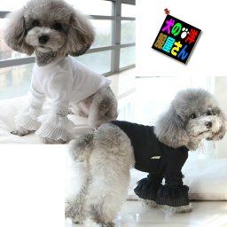 犬服 パウパリス ( 小型犬 中型犬用 )  チワワ トイプードル ミニチュアダックス 柴犬