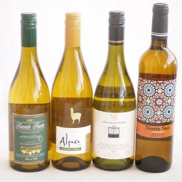 余韻に酔いしれるシャルドネ白ワイン4本セット(アルパカ ネセミヨン辛口Alc.12.5%(チリ) ノルテ スルAlc.13%(スペイン) ヴィーニャ サン エステバン クラシックAlc.13%(チリ) フエンテフルータ白辛口Alc.13%(チリ)) 75