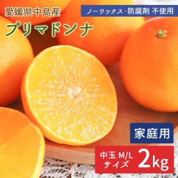 中島産 プリマドンナ 2kg 家庭用 サイズお任せ 中島みかん 産地直送 島みかん 柑橘 高級 愛媛ミカン 春みかん 国産 瀬戸内海 離島の島 愛媛県 希望の島産 産直 ノーワックス 防腐剤不使用【送料無料】