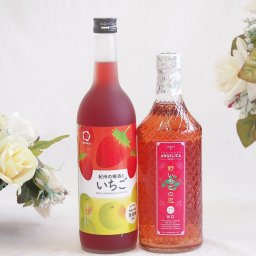いちごリキュール2本セット(神楽酒造野いちごの恋25度(宮崎県) 中野BC紀州の梅酒といちご12度(和歌山県)) 720ml×2本