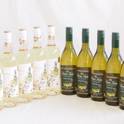 産地別白ワインシャルドネ10本セット(フエンテ フルータ(チリ) ラ フェア ヴィウラ(スペイン)) 750ml×10本