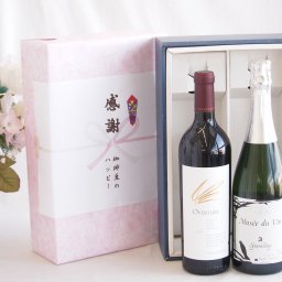 実りの秋の贈り物 感謝の贈り物ボックス 究極のナパ・ブレンド オーヴァチャーと国産ワインセット(MdV オアシス3 白スパークリングワイン辛口(長野県)750mlオーヴァチャー 2021赤ワイン カリフォルニアワイン 750ml