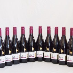 12本セット(チリ赤ワイン アルパカシラー(チリ)) 750ml×12本