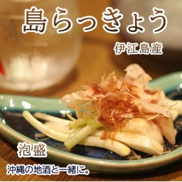島らっきょう(伊江島産)浅漬け500g お取り寄せ グルメ 島らっきょう 島らっきょ おつまみ 沖縄料理 沖縄のおつまみ