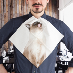 SUCK UK キャット柄 紙ナプキン「Cat Napkins」（猫 紙ナプキン かわいい）イギリス サックユーケー ◇
