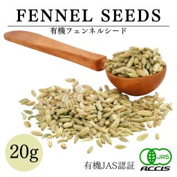 オーガニック フェンネルシード 20g 【有機JAS認証 ／ エジプト産】 無添加 無農薬 無化学肥料 鎌倉てとら [ 鎌倉香辛料 ]