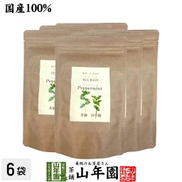【国産 100%】ペパーミントティー ハーブティー 2g×15パック×6袋セット 熊本県産 ノンカフェイン 無農薬 ティーバッグ ティーパック リーフ ペパーミント茶 健康茶 ダイエット 苗 ギフト プレゼント プチギフト お茶 敬老の日 2026 内祝い