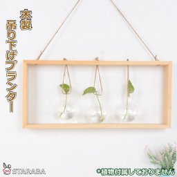 木製 木枠 オシャレ 壁掛け 吊り下げ モダン プランター 観葉植物 インテリア 室内 屋外 おしゃれ 送料無料