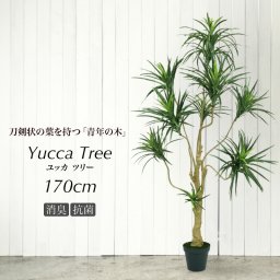 人工観葉植物 フェイクグリーン 観葉植物 造花 光触媒 大型 ユッカツリー 170cm 鉢植 インテリア おしゃれ フェイク グリーン CT触媒 消臭 抗菌 お祝い