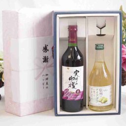実りの秋の贈り物 感謝の贈り物ボックス 国産やや甘口赤ワインと国産ワインセット(信州のナイアガラを使ったワインです甘口(長野県)500mlヴィンテージ実りの収穫 赤ワイン720ml