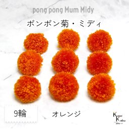 大地農園！ プリザーブドフラワー 「ポンポン菊・ミディ オレンジ 9輪」プリザ ドライフラワー 花材 装飾 ハーバリウム おしゃれ かわいい プレゼント 贈り物 オオチノウエン