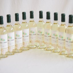 12本セット(格上フランス5冠金賞受賞 白ワイン テールオセアン) 750ml×12本
