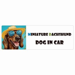 名入れ可 Miniature Dachshund ミニチュアダックスフンド 犬 カーステッカー シール DOG IN CAR 海 麦わら帽子 サングラス 夏 20x6.7cm 長方形 防水 屋外 屋内 車ステッカーステッカー 車 バイク サインステッカー カーサイン