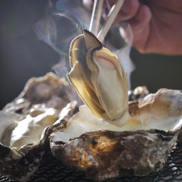 かなわ 冷凍殻付かき15個 レンジ袋入 カキ 牡蠣 広島県産 瀬戸内海 貝類 殻付 冷凍かき 国産 オイスター 生牡蠣
