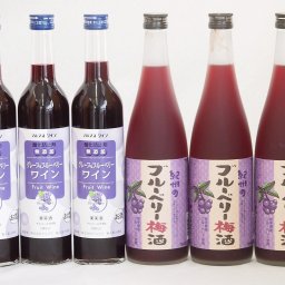 リキュール特集6本セット(グレープ&ブルーベリーワイン 紀州ブルーベリー梅酒) 500ml×3本 720ml×3本