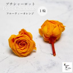 大地農園！プリザーブドフラワー 「プチシャーロット 1輪 フルーティーオレンジ」プリザ 花材 ハーバリウム おしゃれ かわいい プレゼント 贈り物　オオチノウエン
