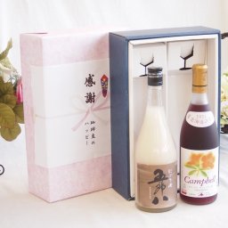 感謝の贈り物ボックス お米の旨みがギュッと五郎八と国産ワインセット(北海道の詩 プレミアムキャンベル赤ワイン 甘口(北海道)720ml菊水酒造五郎八(新潟県)720ml