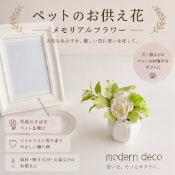 ペットのお供え花 メモリアルフラワー｜犬・猫のお悔やみギフト｜命日・四十九日・お盆のお供えに｜Pet Memorial-WhiteA