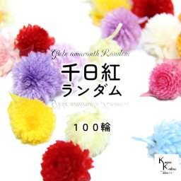 大地農園！プリザーブドフラワー 「千日紅 11カラー ランダム 100輪 」 センニチコウ ヘッドのみ プリザ 花材 ハーバリウム おしゃれ かわいい プレゼント 贈り物　オオチノウエン