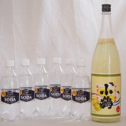 家のみ本格酎ハイ7本セット(サントリーソーダ 強炭酸水ペット 小鶴 サワー専用ゆずレモン 25度) 490ml×6本 1800ml×1本