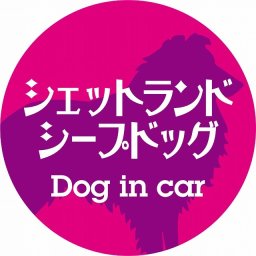 Dog in car ドッグインカー ステッカー カーステッカー シェットランドシープドッグ レトロ書体 ピンクパープル シール 煽り運転対策 カーサイン