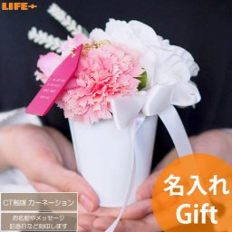 名入れ ギフト かわいい 母の日 お返し プロポーズ 造花 フェイクグリーン 抗菌作用 消臭効果 CT触媒 カーネーション ホワイトポット ブラックポット