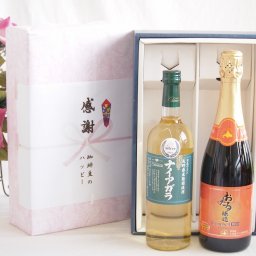 実りの秋の贈り物 感謝の贈り物ボックス 長野県産葡萄ナイアガラ種使用ワインと国産ワイン2本セット(おたる醸造 キャンベル赤スパークリングワインやや甘口(北海道)720mlシャンモリナイアガラやや甘口白ワイン(山梨県)720ml