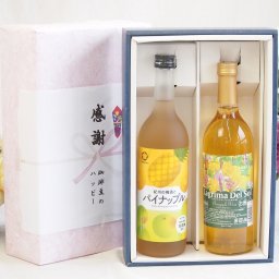 実りの秋の贈り物 感謝の贈り物ボックスパイナップルワイン2本セット(中野BC 紀州の梅酒とパイナップル12度(和歌山県) 名護パイナップルワイナリー ラグリマ デル ソル9度(沖縄名護市)) 720ml×2本