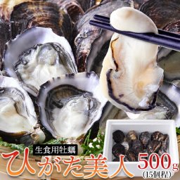 殻付き生牡蠣 ひがた美人 500g 牡蠣 生食用 殻付き 生牡蠣 生かき 生ガキ 生食 かき カキ 殻付きかき 産地直送 産直 お取り寄せ
