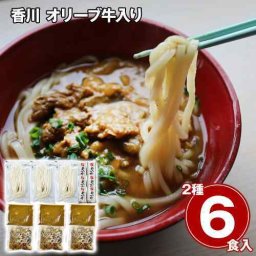 香川 オリーブ牛 使用 牛すじ煮込み ビーフカレー 各3食 讃岐うどん 合計6人前 セット 冷凍 惣菜 お取り寄せ グルメ 黒毛和牛 ブランド牛 讃岐 うどん カレー 牛スジ 煮込み 本格 食べ比べ 詰め合わせ ギフト 贈り物