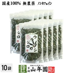 【国産 100%】ウラジロガシ茶 100g×10袋セット 宮崎県産 ノンカフェイン 無農薬 ウラジロガシ 健康茶 妊婦 ダイエット ウラジロガシ流石粒 結石 サプリ セット ギフト プレゼント プチギフト お茶 敬老の日 御中元 2026 内祝い お返し