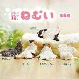 【全5種類セット】ねむいねむいまだねむい ガチャ ガチャガチャ コンプリート 中身 動物 猫 ネコ かわいい フィギュア おもちゃ ミケ ペルシャ スコティッシュ アメショ ハチワレ