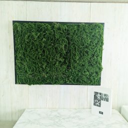 造花　グリーン壁掛け　モス壁掛け　ナチュラル素材　縦にも横にも仕様可　触媒加工品　軽量簡単設置