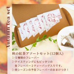 5種の秋紅茶アソートセット＋来シーズンの予告おまけ付き 計12ティーバック （Moonlight Chai、キャラメル紅茶、ダージリン、秋のりんご紅茶、アプリコットルイボス）【送料無料】