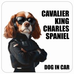 CAVALIER KING CHARLES SPANIEL キャバリアキングチャールズスパニエル DOG IN CAR カーステッカー 犬 セキュリティガード風 ちょい悪 13x13cm 正方形 防水 屋外 屋内 ドッグオンボード デカール