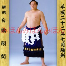 白鵬翔関　優勝ミニ額 大相撲ミニ額 大相撲優勝額　平成２２年７月場所 全勝 横綱 白鵬翔関（１５回目の優勝） ※受注生産品のため、ご注文後はいかなる理由でも返品、返金はできません