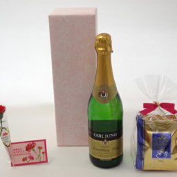 母の日 ギフトセット ワインセット 挽き立て珈琲(ドリップパック5パック)(脱アルコール ワイン（スパークリング）　ドイツ白ワイン　アルコール1％未満750ｍｌ)母の日カード お母さんありがとうカーネイション