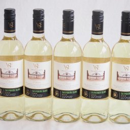 5本セット(クラシック ソーヴィニヨン・ブラン白ワイン (チリ)) 750ml×5本