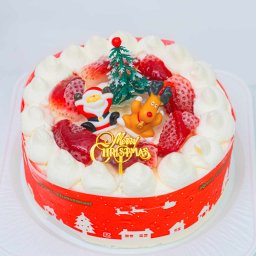 2025ホワイトクリスマス5号