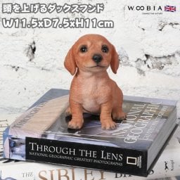 犬 置物 小さい かわいい おしゃれ 頭を上げるダックスフンド 高さ11cm 動物 オブジェ インテリア woobia ウービア イヌ ガーデン トイレ プレゼント 北欧 玄関 雑貨 モダン 面白い 庭 ギフト 屋外 家 リアル 卓上 ガーデンオーナメント