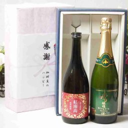 実りの秋の贈り物 感謝の贈り物ボックス 香る南高梅酒 紅南高と国産ワインセット(おたる醸造 ナイアガラス白パークリングワインやや甘口(北海道)720ml紅南高 紀州梅酒(和歌山県)720ml