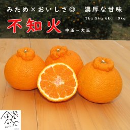 不知火 訳あり【デコポンと同じ品種】 中～大玉 L-4L 柑橘 オレンジ みかん フルーツ 果物 【送料無料※北海道・沖縄除く】