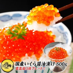 いくら 国産 イクラ醤油漬け 500g 250g×2 2024年新物 最高級3特グレード 国産の秋鮭から丹念にほぐしました 【ご飯の友/ご飯のお供/お取り寄せ/グルメ/海鮮/敬老の日/ギフト/2026/プレゼント/贈答用】