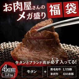 肉福袋 4種以上1.5kg以上（牛タン・ブランド肉入り）12,000円相当肉福袋　4種以上1.5kg以上（牛タン・ブランド肉入り）12,000円相当 牛肉 御歳暮 贈答品 お中元 誕生日 ホームパーティ BBQ  ギフト プレゼント