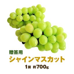 岡山産 シャインマスカット 贈答用大房 1房 約700ｇ マスカット ぶどう ブドウ 種無しぶどう 葡萄 