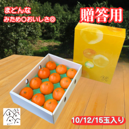 まどんな（別名：紅マドンナ）贈答用約3kg 柑橘 オレンジ みかん フルーツ 果物 【送料無料※北海道・沖縄除く】
