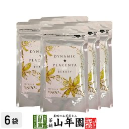 ダイナミックプラセンタ BEAUTY 100g（20g×5本）×6袋セット ダイナミック製薬 プラセンタゼリー 馬プラセンタ 美容 アンチエイジング タンパク質 健康 国産 緑茶 敬老の日 ギフト プレゼント プチギフト お茶 内祝い 2026