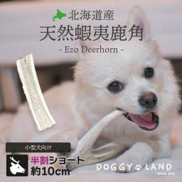 Deerhorn【半割ショート】 北海道産 鹿角 ペット 犬 おもちゃ 小型犬 半割 プレゼント いたずら防止 おやつ デンタルケア ガム 犬用 鹿の角 天然 無添加 送料無料 S 柴犬 コーギー いぬ イヌ チワワ トイプードル 犬用品【送料無料】